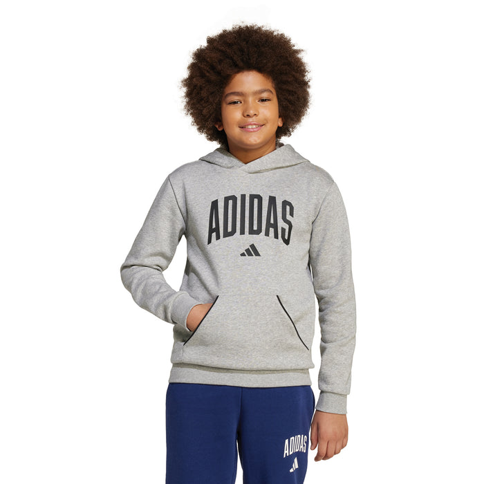 Youth Adidas Essentials Collegiate Typography Hoodie