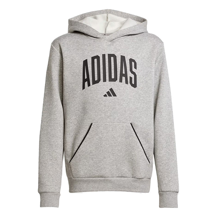 Youth Adidas Essentials Collegiate Typography Hoodie