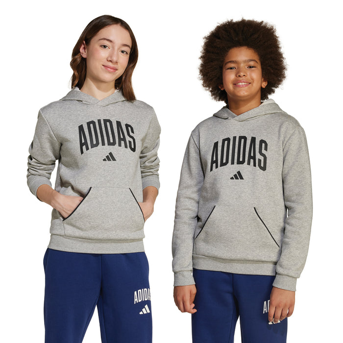 Youth Adidas Essentials Collegiate Typography Hoodie