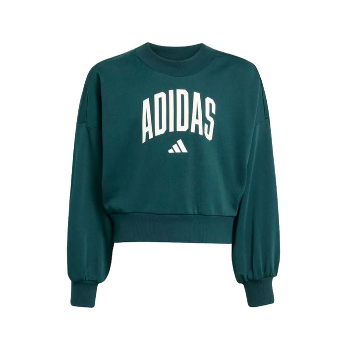 Girl's Adidas Collegiate Typography Crew
