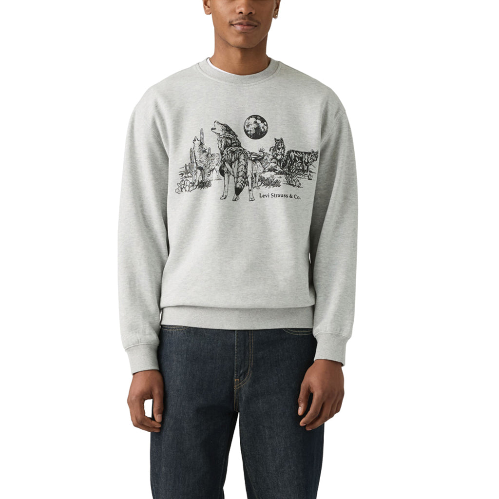 Men's Levi's Relaxed Graphic Crew