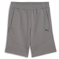 Men's Puma Tech Shorts