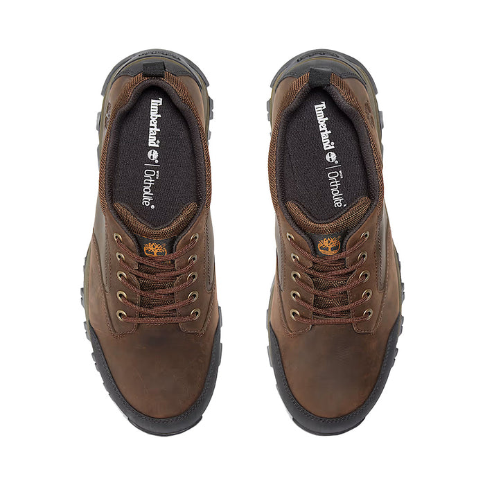Men's Timberland Maddsen Low Waterproof Hiking Boot