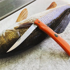 Outdoor Edge FieldBone Folding Fillet Knife