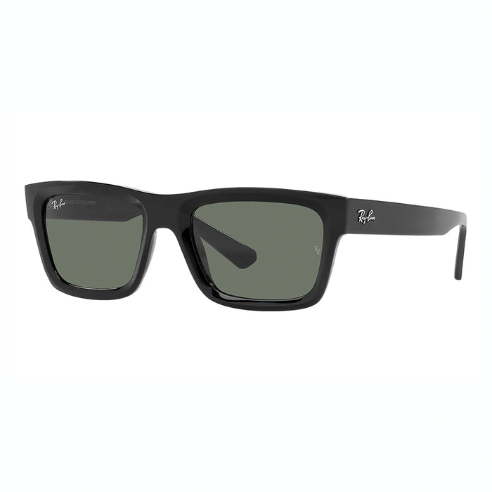 Ray-Ban Warren Sunglasses