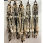 Timber Wolf - 74.5 Inches