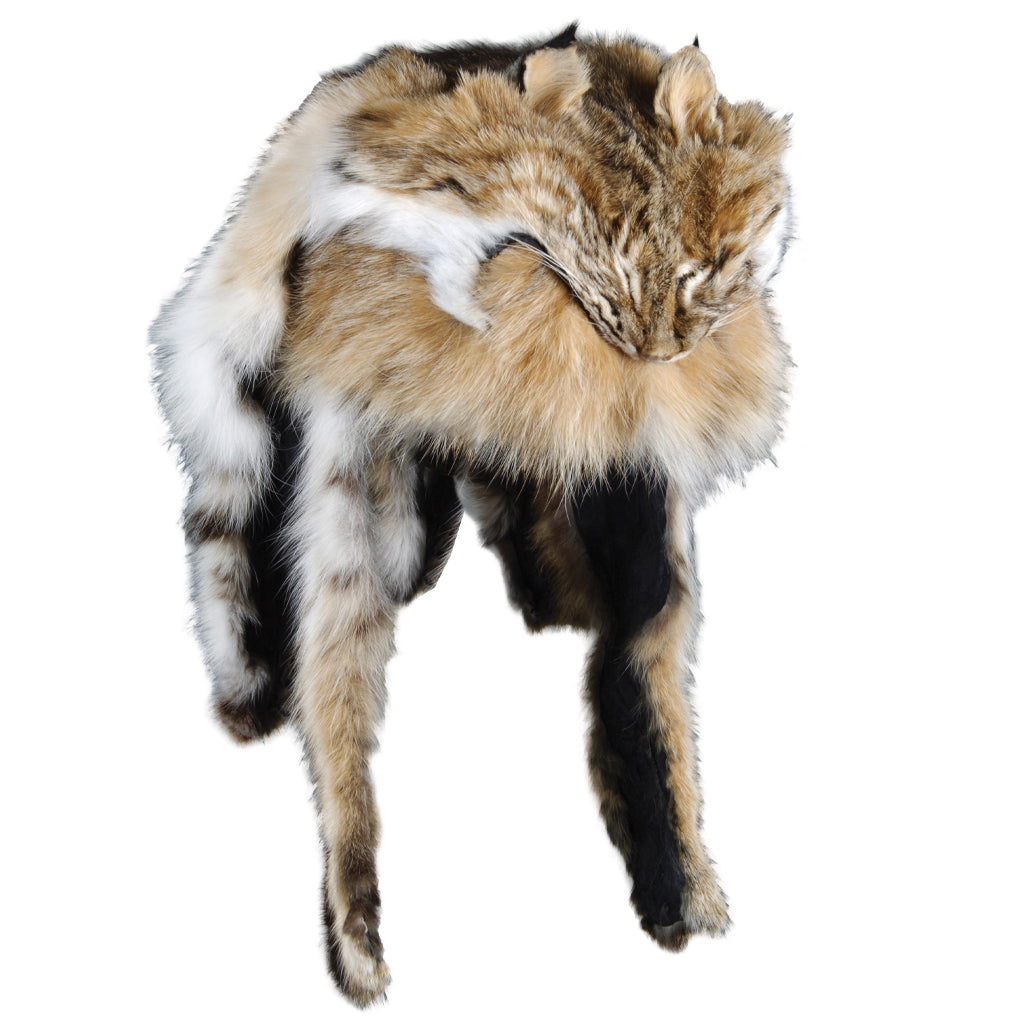 Northern Bobcat Mountain Man Fur Hat 1