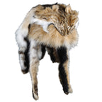 Northern Bobcat Mountain Man Fur Hat 1