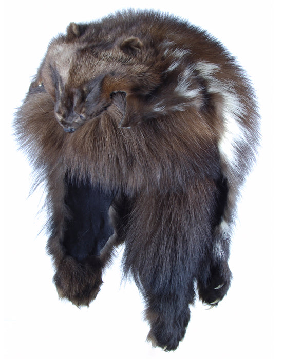 wolverine mountain fur hat