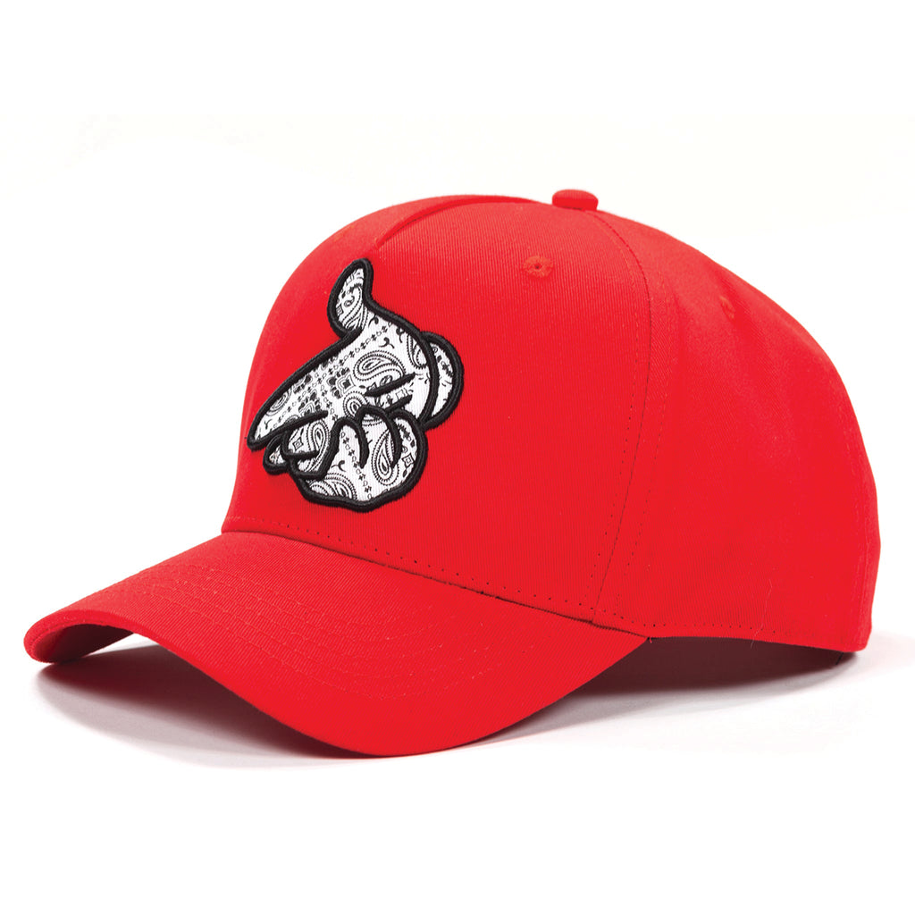 Men's C&C Paisley Logo Airgun Cap