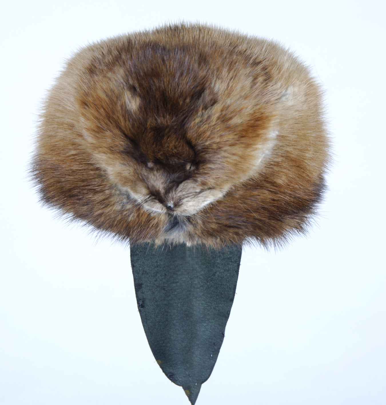 Winter Collection