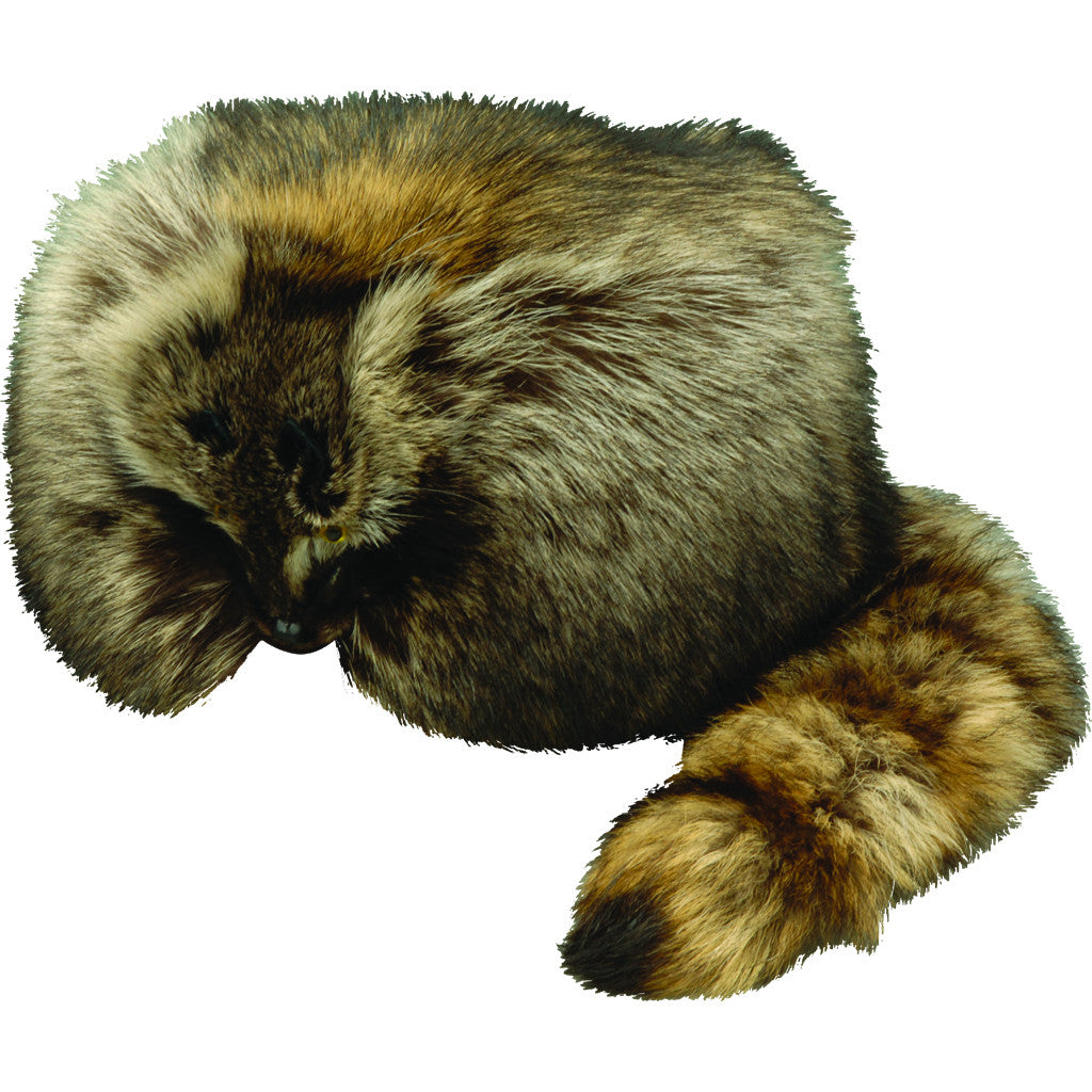 Raccoon_Fur_hat_Davy_Crocket_Hat_w_face