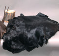beaver pelts black dyed 