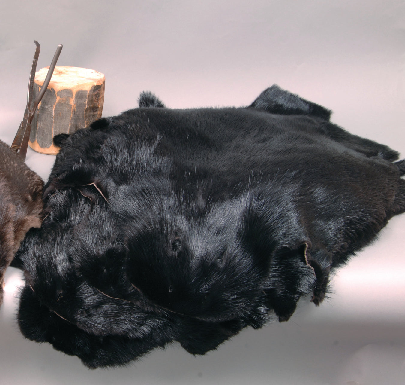 beaver pelts black dyed 