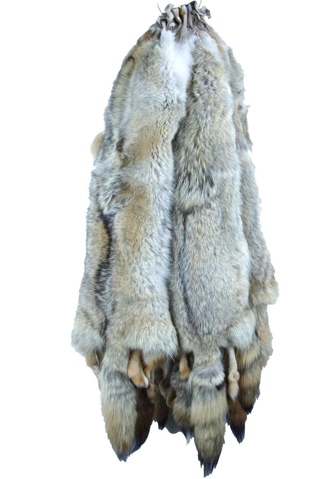 coyote skin fur western canada