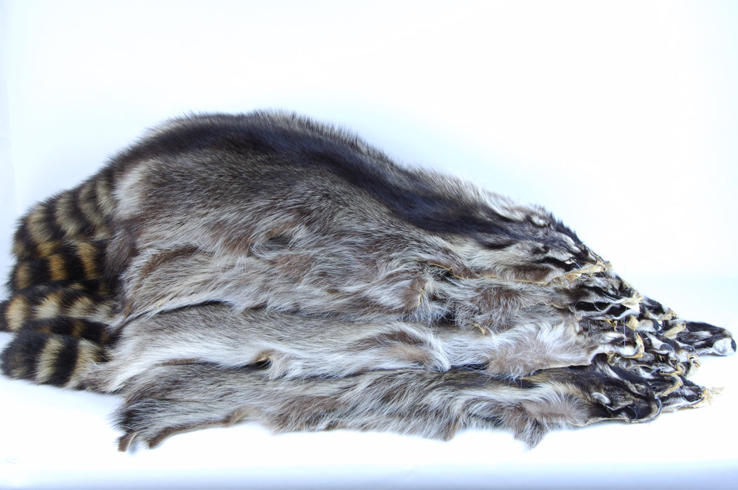 Raccoon Skins - XXL