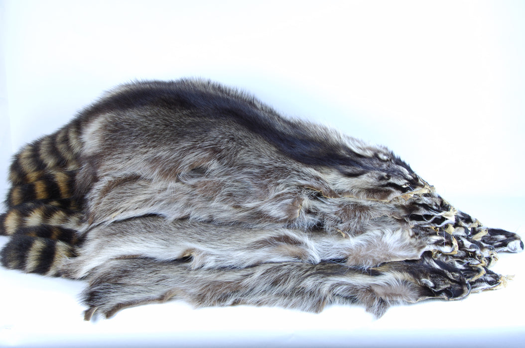 Raccoon Skin - Sizes 2XL