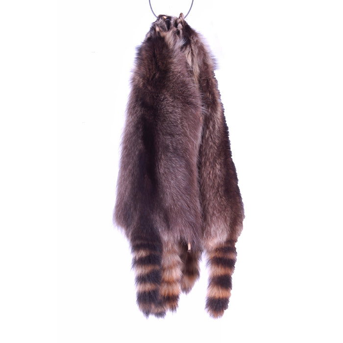 Raccoon Skins Medium Size