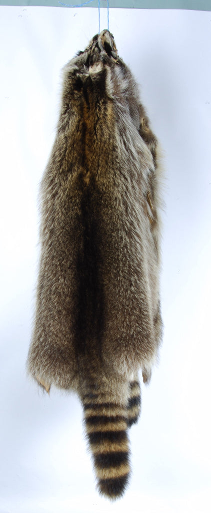 Raccoon Skins - King Kong — Winnipeg Outfitters