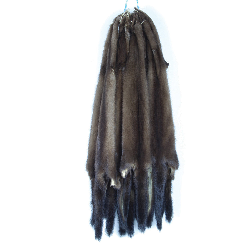 Male Wild Mink Fur