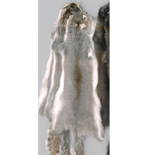 Wild Squirrel Fur Dressed