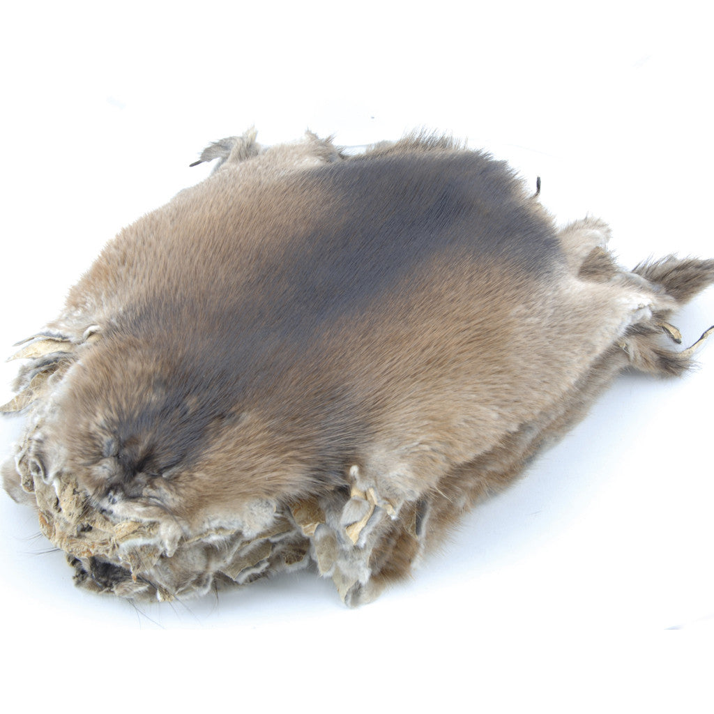 Muskrat Skin