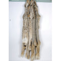 lynx fur large pelt bob cat hanging 