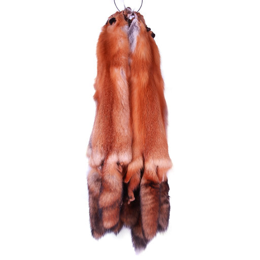 red fox skin hanging 