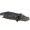 Otter Skins - Large/Extra Large