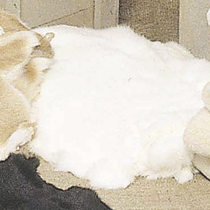 Bleached White Rabbits