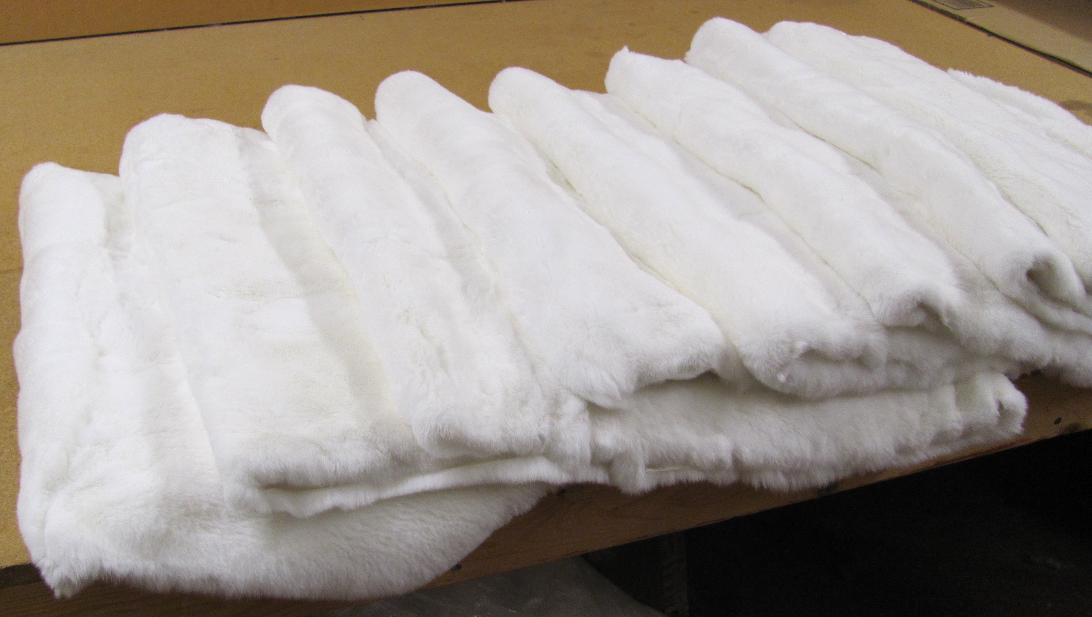Rex Rabbit Plate white