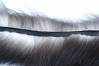 Fur ruff back view