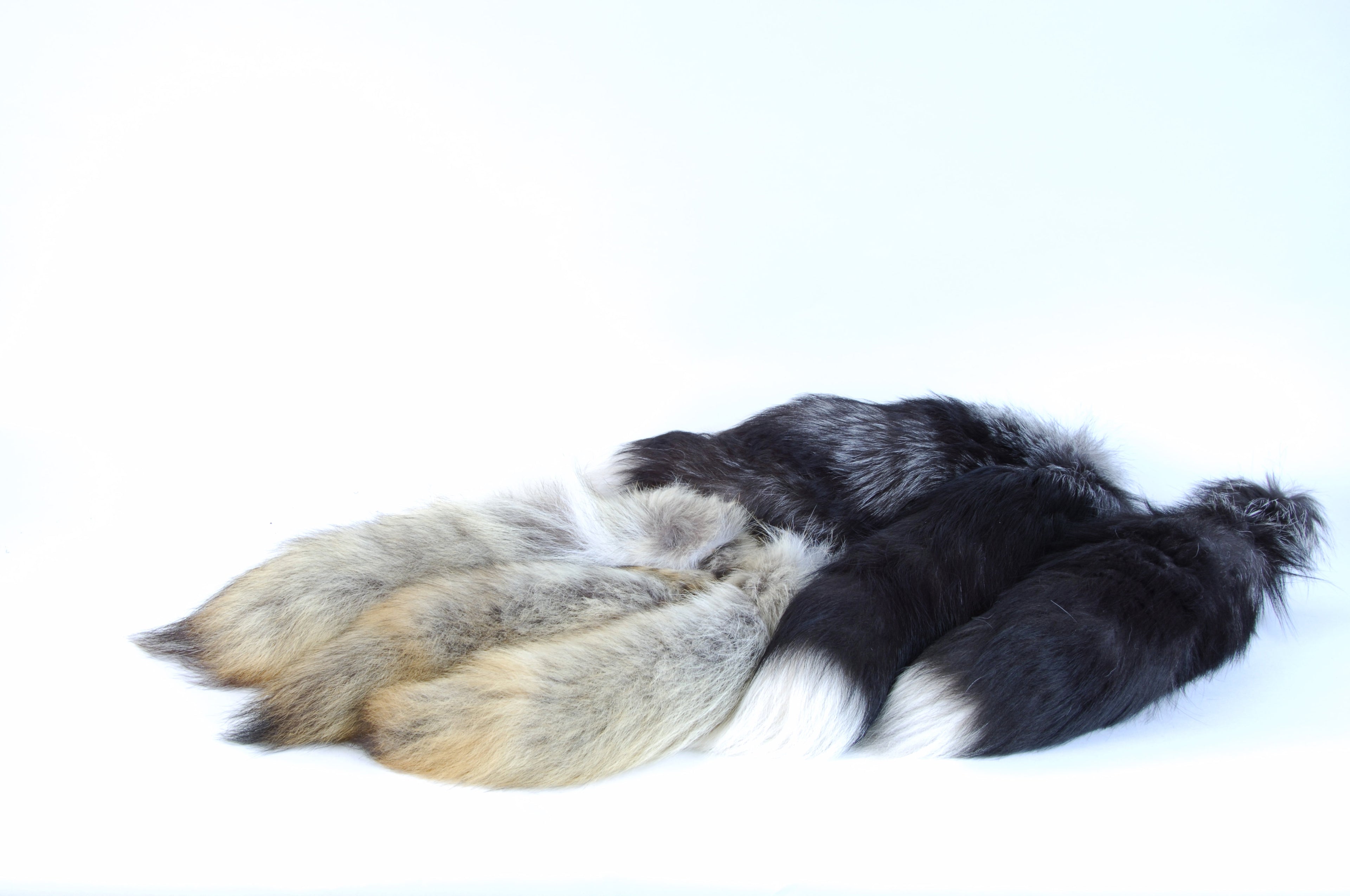 Fur tails, coyote and fox